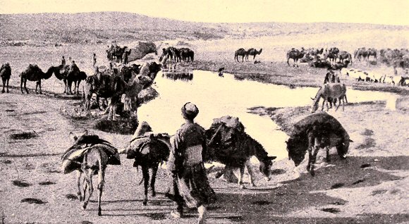 Caravane en Arm�nie.