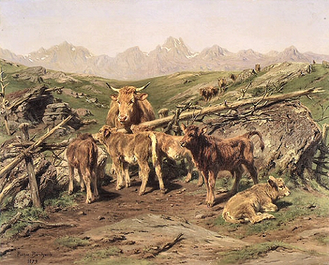 Bonheur : Veaux.