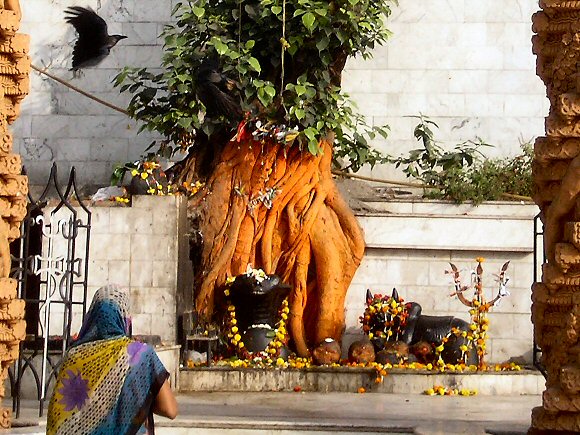 Kolkata : offrandes.
