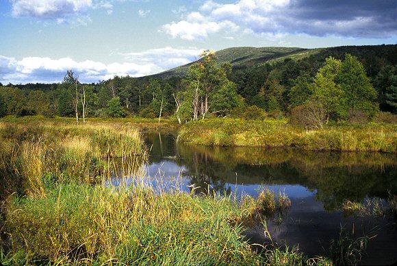 Les monts Catskills (Etat de New-York).