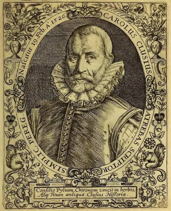 Clusius.