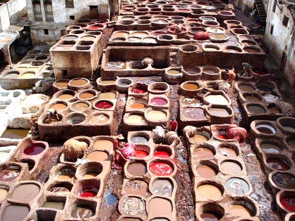 F�s : une tannerie.