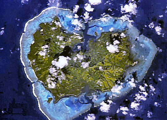 Fidji : Matuku.