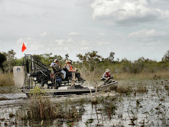 Floride : Everglades.