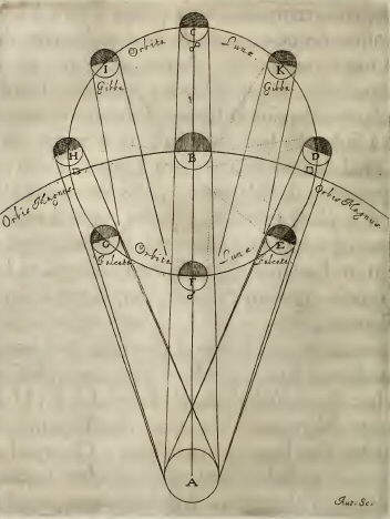 H�v�lius : les phases de la Lune.