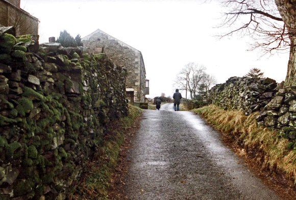 Lake district : une chemin bord� de murs de pierres.