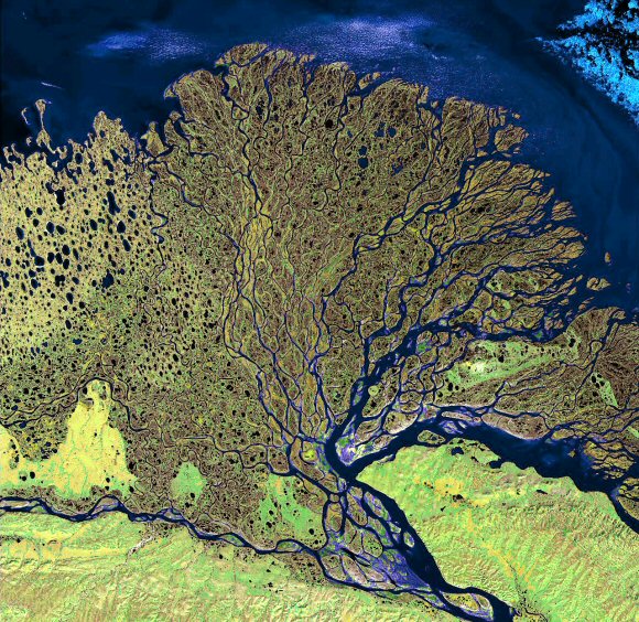 Delta de la L�na (Russie).