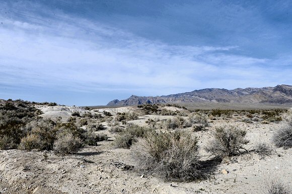 Nevada : paysage du d�sert.