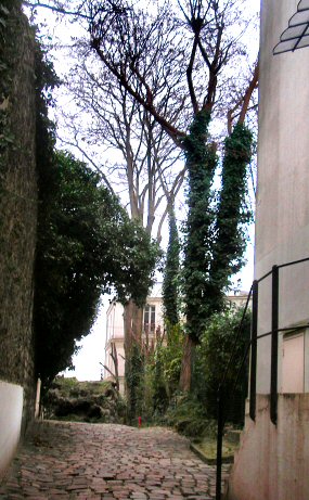 Paris : le maquis de Montmartre.