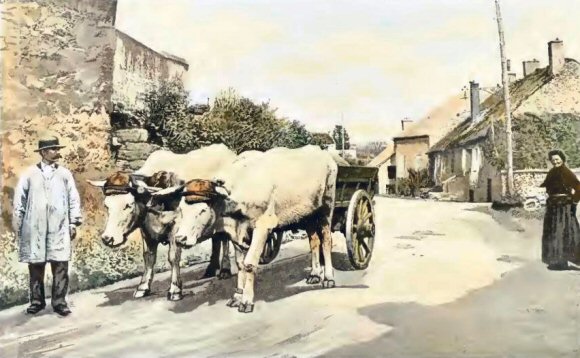 Saulieu : un vieil attelage.