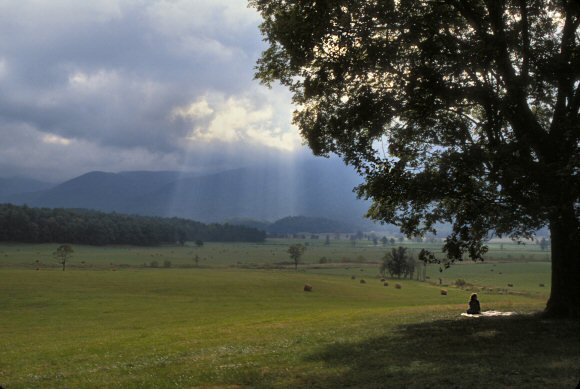 Tennessee : Smoky Mountains.