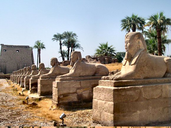 Louqsor : all�e de Sphinx.