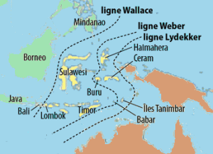 Carte de la Wallacea.