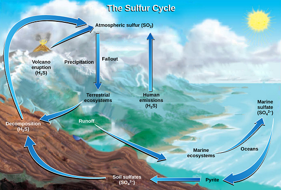 Le cycle du soufre.