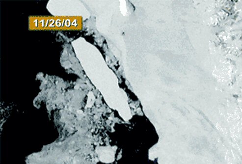 Banquise et iceberg g�ant.