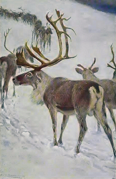 Rennes dans la neige.