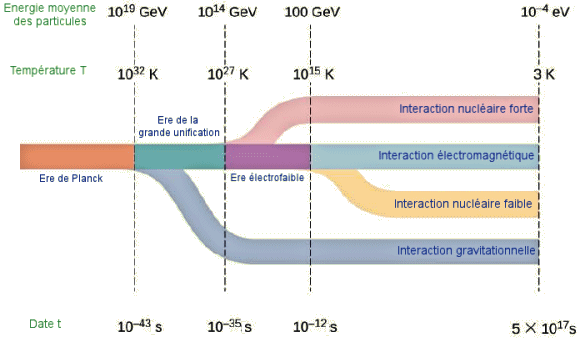 S�paration des interactions fondamentales dans l'univers primordial.
