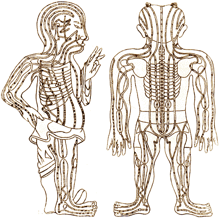 acupuncture